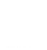 METEOR PULSA